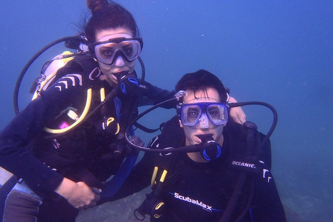 2 Tank Boat Dives for Certified Divers - Morning Departure From Hotel Alba Suites and How the Day Runs