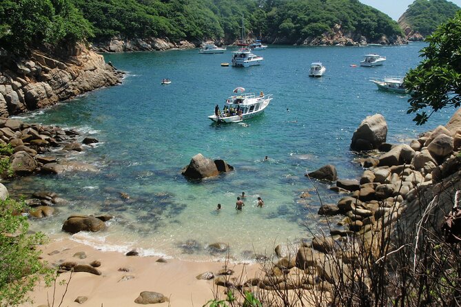 2 Tank Boat Dives for Certified Divers - Acapulco Harbor and Quebrada Areas: When the Water Moves