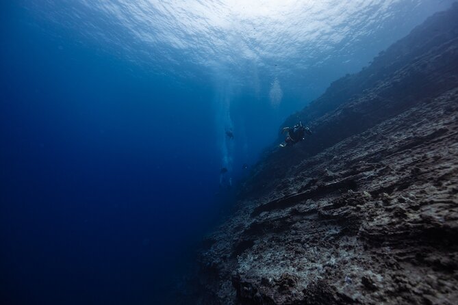 2-Tank Dive Featuring the Molokini Crater - Key things that make this Molokini 2-tank outing worth your time