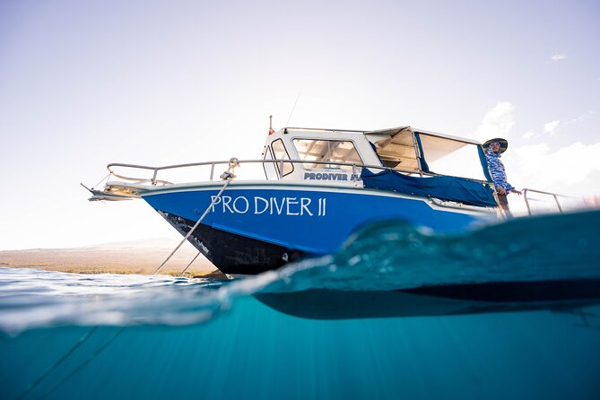 2-Tank Dive Featuring the Molokini Crater - Molokini Crater and the value of “two tanks” on Maui