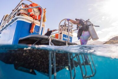 2-Tank Dive Featuring the Molokini Crater - The 6:15 am start: why timing and logistics actually matter