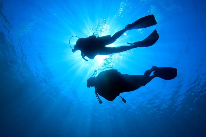 2 Tank Dive (for certified divers) - Who Should Book This (and Who Might Want a Different Plan)