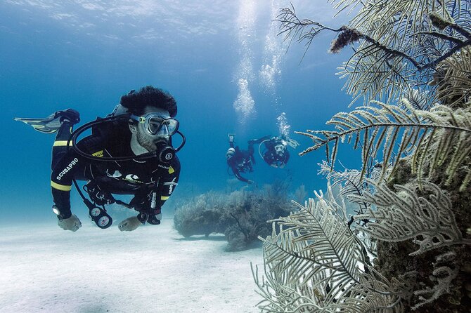 2 Tank Dive (for certified divers) - Getting the Best Results: Simple Tips Before You Gear Up
