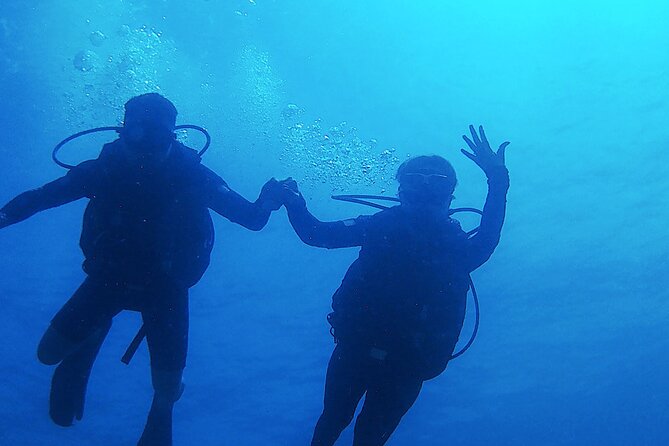2 Tank Dive (for certified divers) - First Underwater Session on the Fingers Reef: Canyons and Coral You Can Swim Through