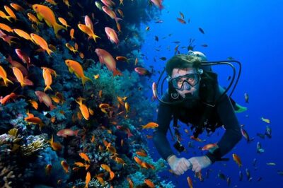 2 Tank Dive in Cozumel - Where you check in: Aqua Excursions and the first logistics wave