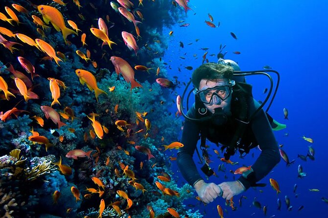 2 Tank Dive in Cozumel - Where you check in: Aqua Excursions and the first logistics wave