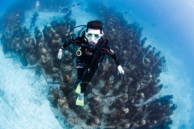 2 Tank Dives MUSA and Manchones reef (Certified divers) - At Squalo Adventures: what to do before you hit the water