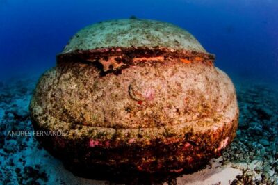 2 Tank Dives MUSA and Manchones reef (Certified divers) - Tank one at MUSA: sculpture park, shallow depth, and marine life you can actually spot