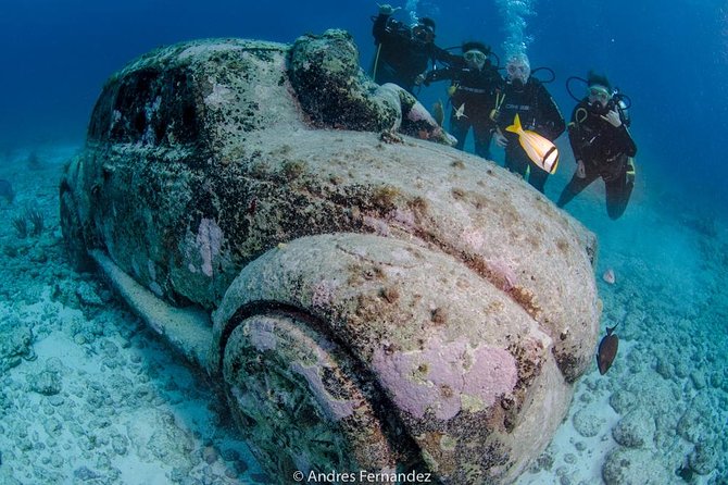 2 Tank Dives MUSA and Manchones reef (Certified divers) - Marine park fees and dock charges: what’s included vs what you’ll pay on site