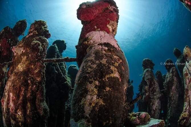 2 Tank Dives MUSA and Manchones reef (Certified divers) - Depth, comfort, and who should book (and who should pause)
