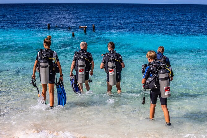 2 Tank Guided Dive half-day - Gear, transport, snacks, and a small group that keeps things calm