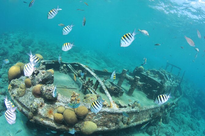2 Tank Guided Dive half-day - Price and value: what $145 really buys you for a two-stop half-day