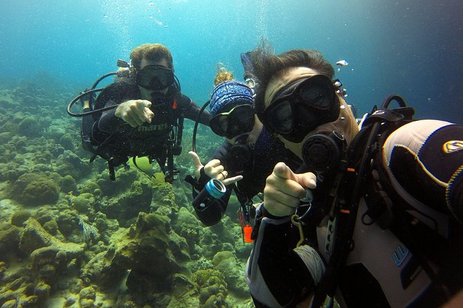 2 tank guided dive House Reef (Pierbaai Reef and Car Pile) - Key Things I’d Plan Around