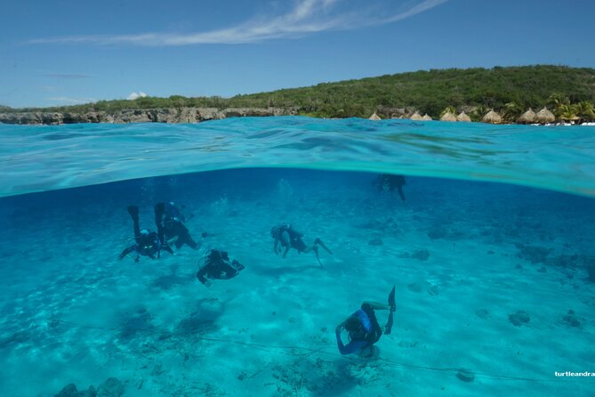 2 tank guided dive House Reef (Pierbaai Reef and Car Pile) - Car Pile: Your Second Famous Shore Stop in One Tour