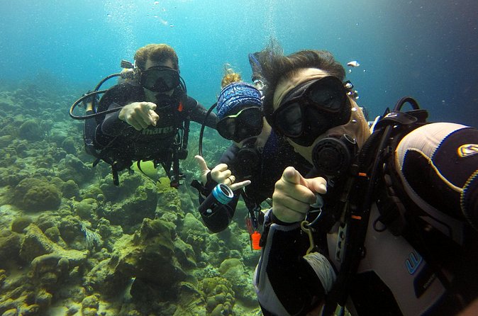 2 tank guided dive House Reef (Pierbaai Reef and Car Pile) - The 4-Hour Flow: How the Timing Really Feels