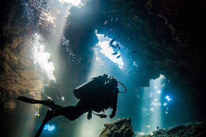 2 Tank Lanai Cathedral Scuba Dive Via Boat for Certified Divers - Quick hits before you book
