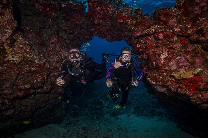 2 Tank Lanai Cathedral Scuba Dive Via Boat for Certified Divers - First Underwater Session At Cathedral Areas: What 60 Minutes Usually Feels Like
