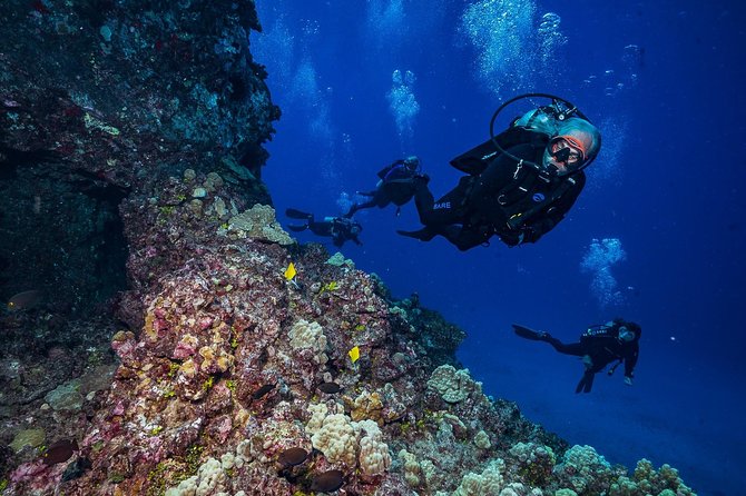 2 Tank Lanai Cathedral Scuba Dive Via Boat for Certified Divers - Rental Gear And Safety: Small Details That Add Up