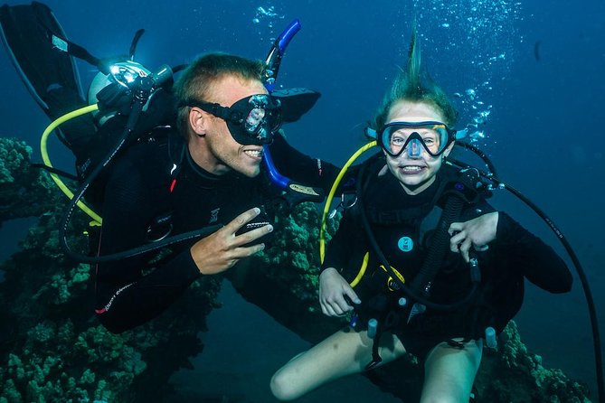 2-Tank Maui Turtle Scuba Dive or Snorkel Boat Tour - Key points before you plan