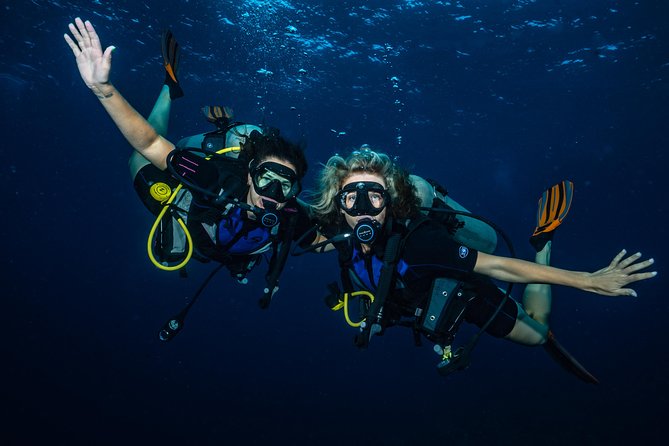 2-Tank Maui Turtle Scuba Dive or Snorkel Boat Tour - Snorkel friends join you while you’re on scuba