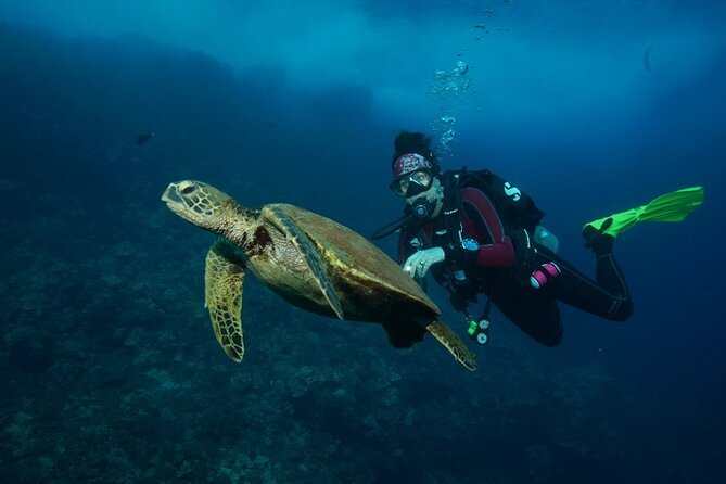 2-Tank Maui Turtle Scuba Dive or Snorkel Boat Tour - The guide factor: names you’ll hear and the style you want