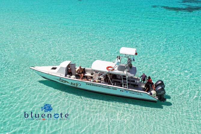 2 Tank Morning Dive: Scuba Diving in Cozumel - Key Highlights Worth Knowing