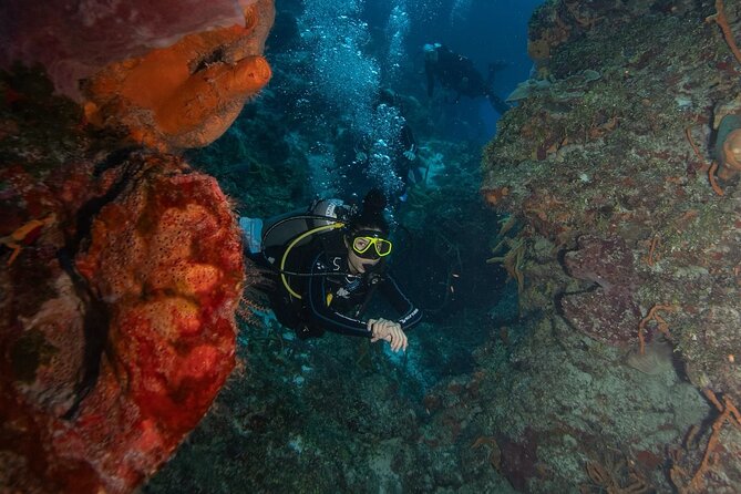 2 Tank Morning Dive: Scuba Diving in Cozumel - Surface Interval Lunch: Your Built-In Reset Between Tanks