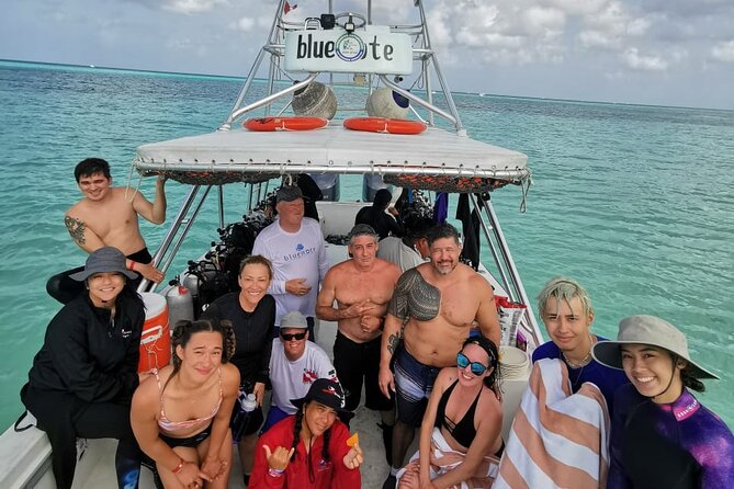 2 Tank Morning Dive: Scuba Diving in Cozumel - Tank Two: More Current, More Fish Action at Reefs Like San Clemente