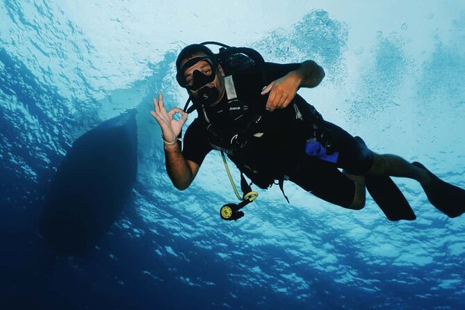 2 Tank Morning Dive: Scuba Diving in Cozumel - The Real MVP: Underwater Guides Like Lu, Renata, and Danny