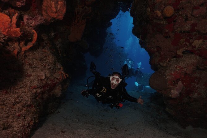 2 Tank Morning Dive: Scuba Diving in Cozumel - Who Should Book This Two-Tank Morning Reef Outing