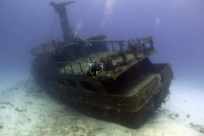 2-Tank Morning or Afternoon Dives in Playa del Carmen certified Divers Only - Who Should Book (and Who Should Skip)