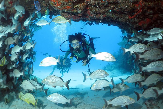 2-Tank Morning or Afternoon Dives in Playa del Carmen certified Divers Only - Should You Book This Two-Tank Scuba Outing?