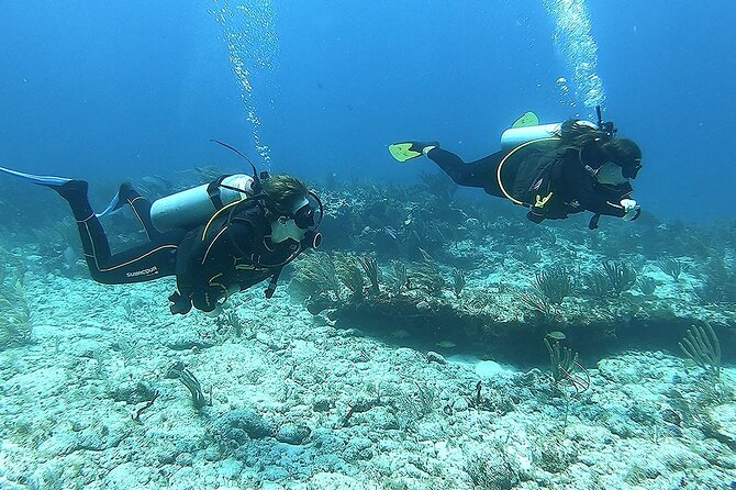 2 Tank Reef Dive in Mexico - Warm Caribbean water + reef rules: the lotion warning that’s worth listening to