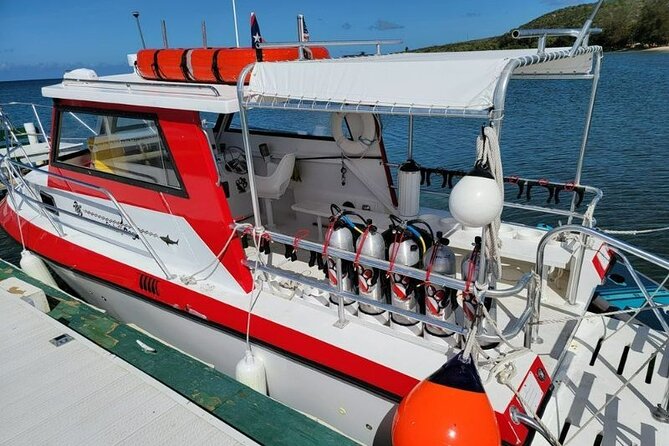 2-Tank Scuba Boat Trip in World-Class Sites @ Copamarina - Site Two: The Wall Drop-Off and the Odds of Sharks and Barracudas