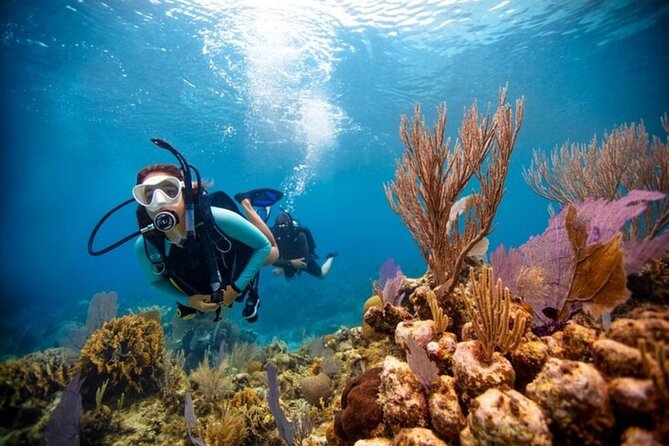 2-Tank Scuba Boat Trip in World-Class Sites @ Copamarina - What 5 Hours Really Feels Like on a Small Crew Boat