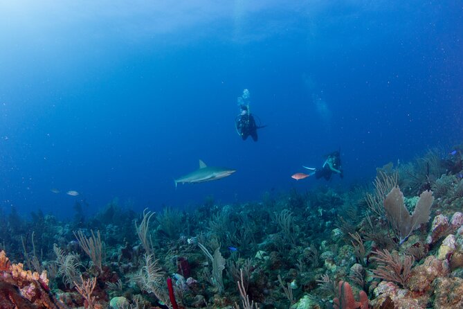2-Tank Scuba Boat Trip in World-Class Sites @ Copamarina - Equipment, Snacks, and the Reusable-Water Detail