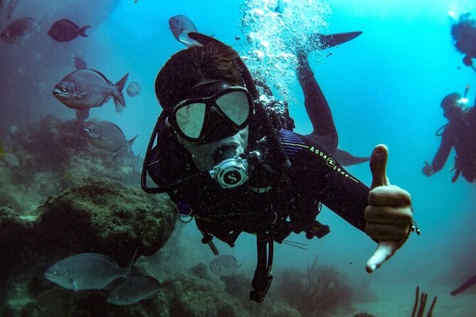 2-Tank Scuba Boat Trip in World-Class Sites @ Copamarina - Price and Value: Is $235 Worth It?
