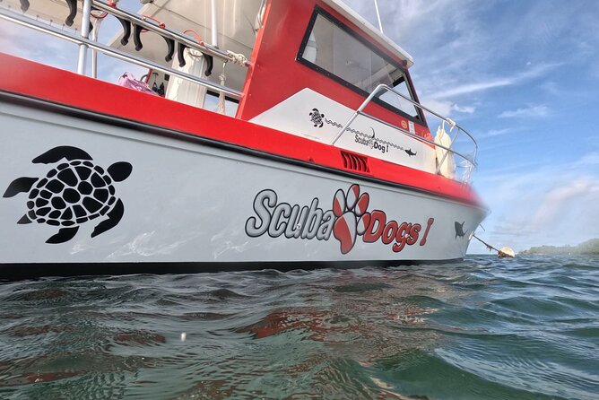 2-Tank Scuba Boat Trip in World-Class Sites @ Copamarina - Who Should Book This 2-Tank Copamarina Trip