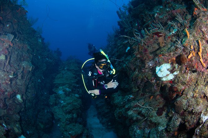 2-Tank Scuba Boat Trip in World-Class Sites @ Copamarina - Morning Setup at Copamarina: What Your 7:00 AM Means