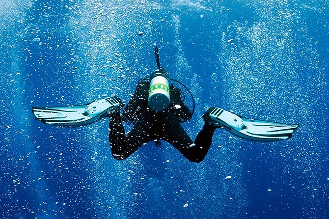 2 Tank Shore Dive at Sea Turtle Cove - Key things to know before you go