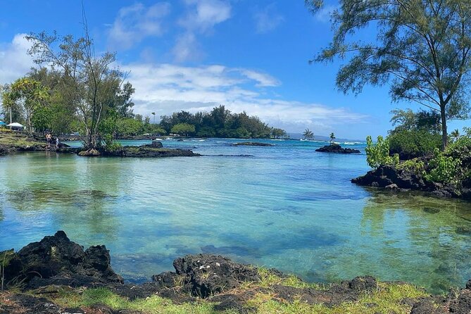 2 Tank Shore Dive at Sea Turtle Cove - Reefs, Reef Fish, and Green Sea Turtles: What You’re Paying For