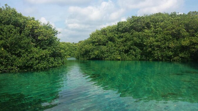 2 tanks Cenote Diving Adventure in Tulum for Certified Divers - Key Highlights You’ll Actually Notice