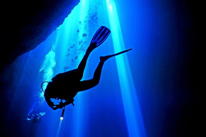 2 tanks Cenote Diving Adventure in Tulum for Certified Divers - Dos Ojos (Second Stop): Cavern Scenery, Bat Cave Moments, and Light Plays