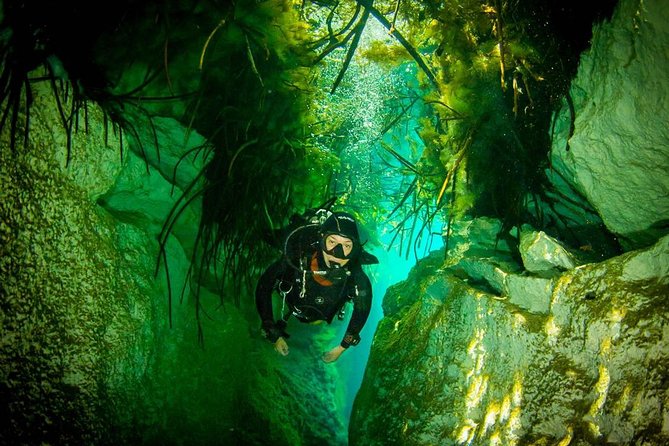 2 tanks Cenote Diving Adventure in Tulum for Certified Divers - Timing and Group Size: Why Max Four People Changes Everything