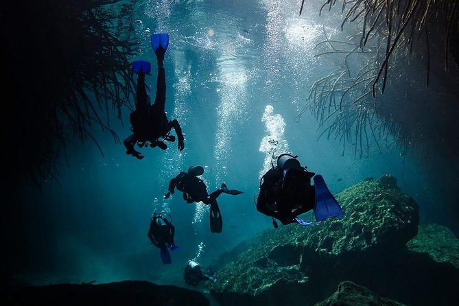 2 tanks Cenote Diving Adventure in Tulum for Certified Divers - Instructor Support: What “Professional and Safe” Looks Like in Real Life