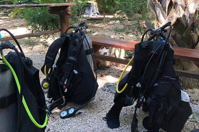 2 tanks Cenote Diving Adventure in Tulum for Certified Divers - Price and Value: Is $200 Fair for Two Cenotes?