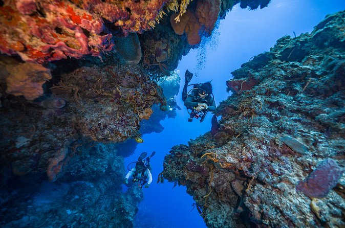 2 Tanks dives for Certified Divers in Cozumel - Guides, gear, and safety that help you stay relaxed