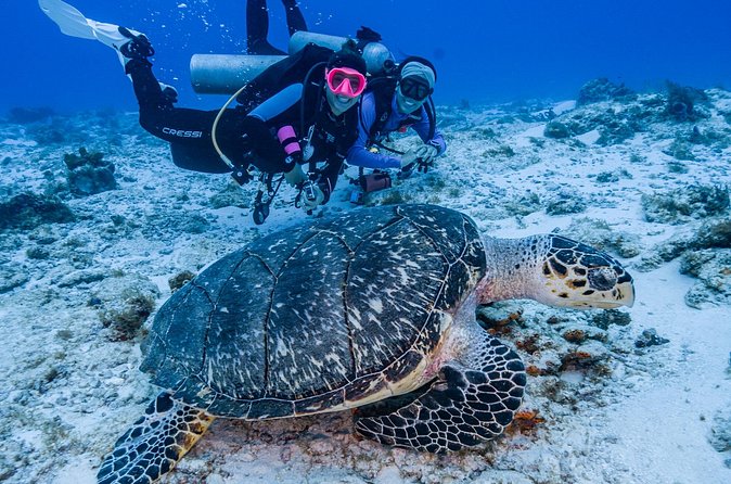 2 Tanks dives for Certified Divers in Cozumel - Lunch break and the surface rhythm (how the day actually flows)