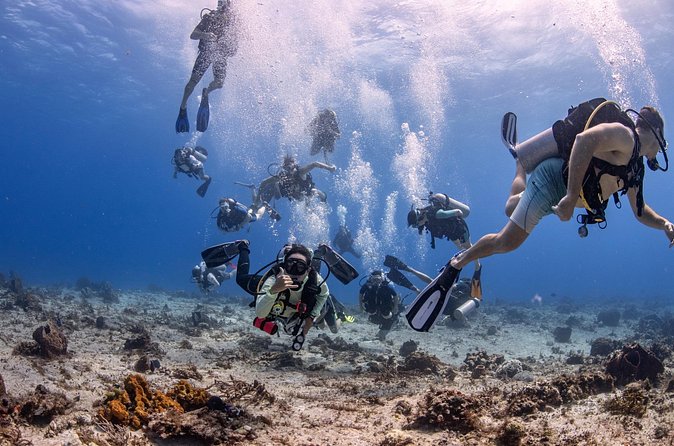 2 Tanks dives for Certified Divers in Cozumel - Value in the Cozumel scuba market: why this setup is worth your time