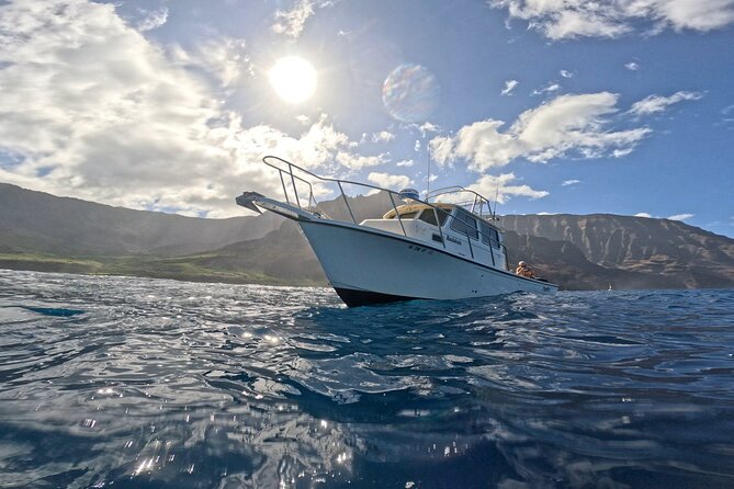 2 Tanks Scuba Dive Kaua'i from a Boat - Two Underwater Sessions: How the Guide Builds Your Plan